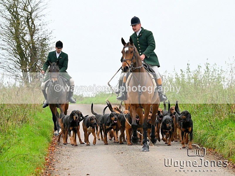 WJ6_8389 - Edited examples
