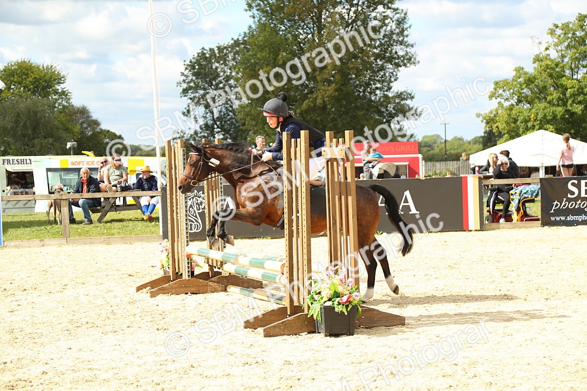 SBM_41328 - J6 - Junior Pony 55cm Championships