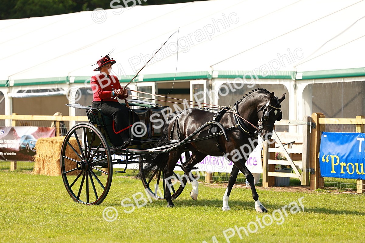 SBM_01134 - Class 2-4 - HOYS Private Driving