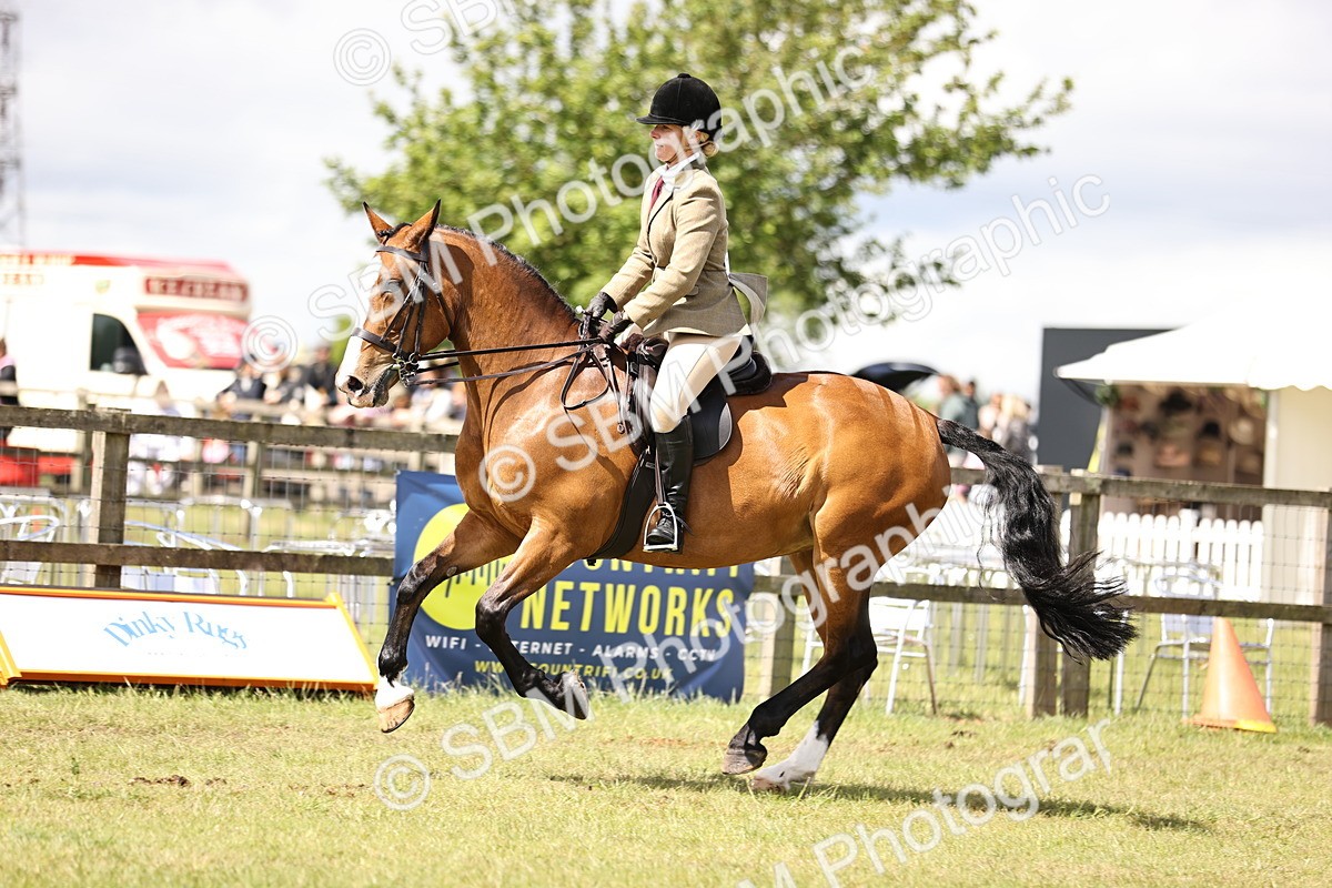 SBM_14536 - Class 88-89 - LIHS BSHA Rising Star of Ridden Hunter Type