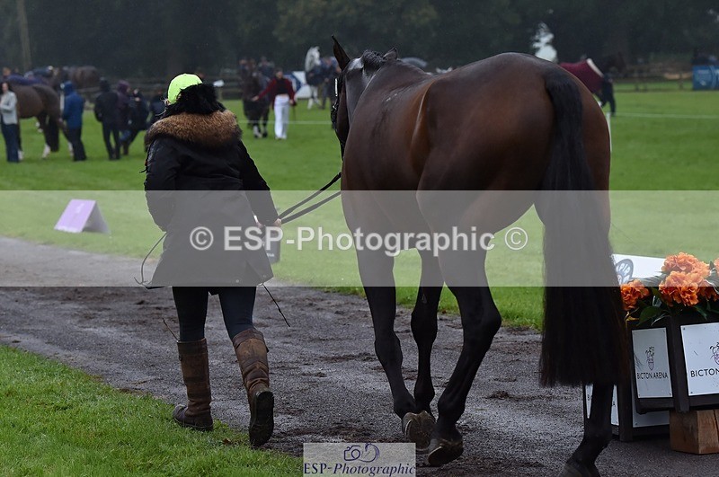 231018-120950-00112 - 012-ROMANY.CRICKET-Nana.Dalton-TrotUp