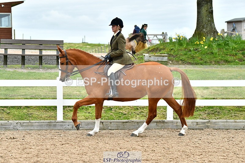 230416A-143116-05256 - Cls 74 Warmblood