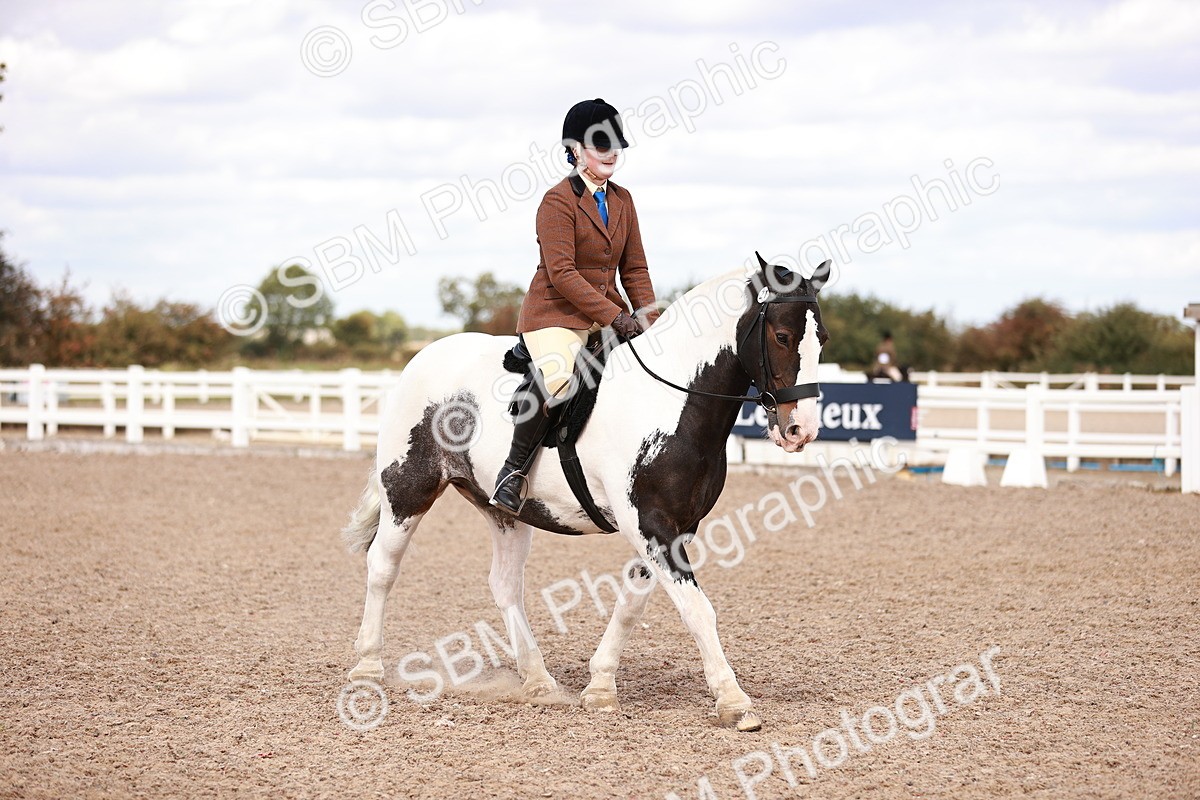 SBM_14476 - Class 410 - Grassroots Ridden - Horse