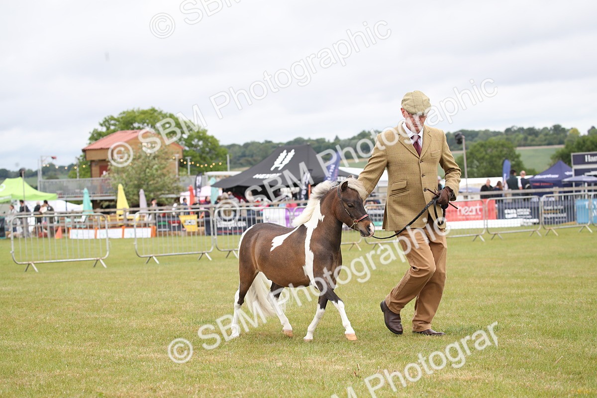 SBM_03981 - Class 23-25 - British Miniature Horse of the Year