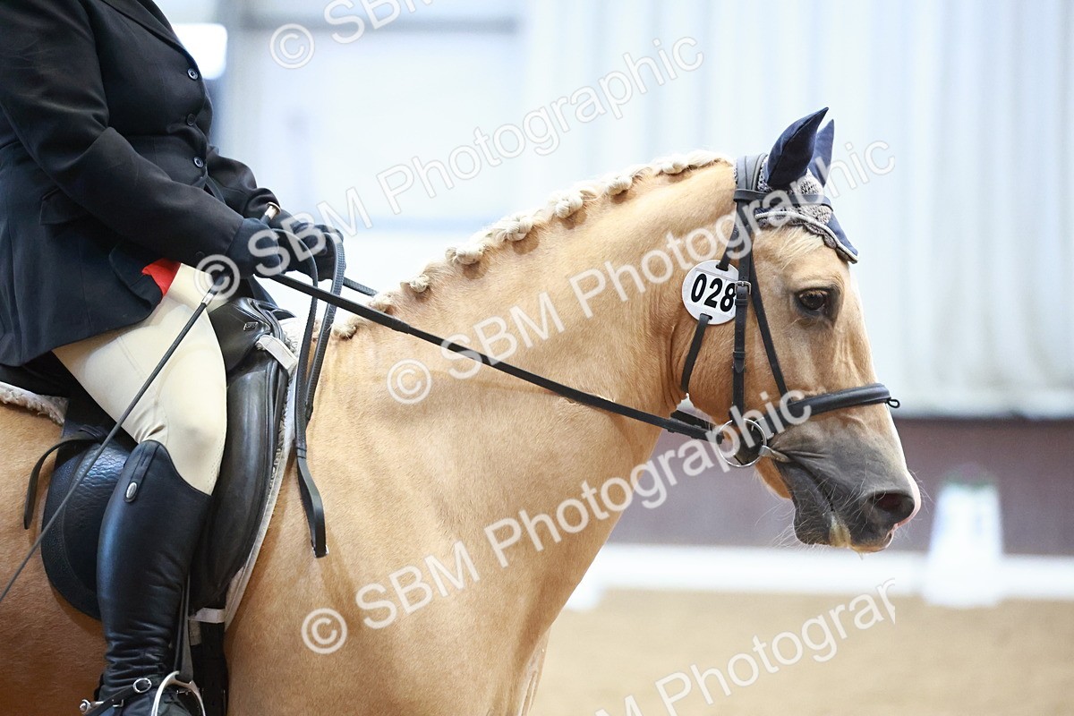 0B8A9479 - Class 9 - PYO