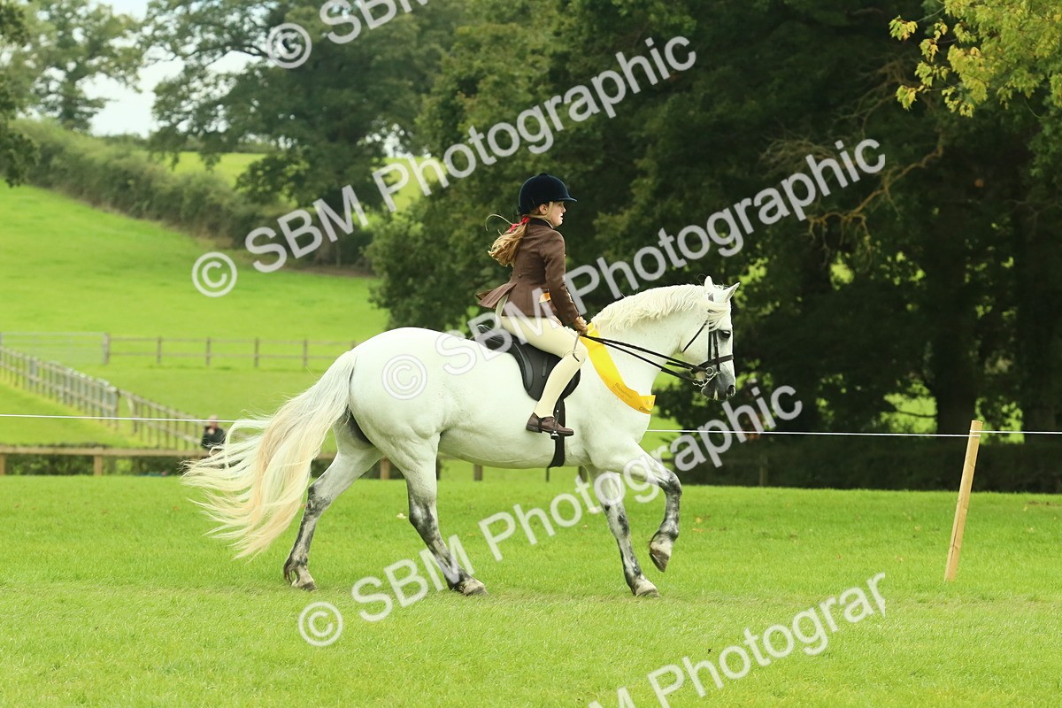 SBM_75038 - Ridden Pony Supreme Championship