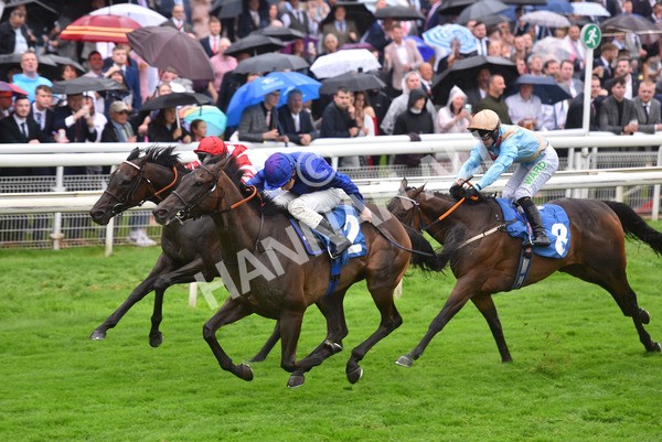 yr21082021r6-34 - Race 6 4.45pm Sky Bet Stakes