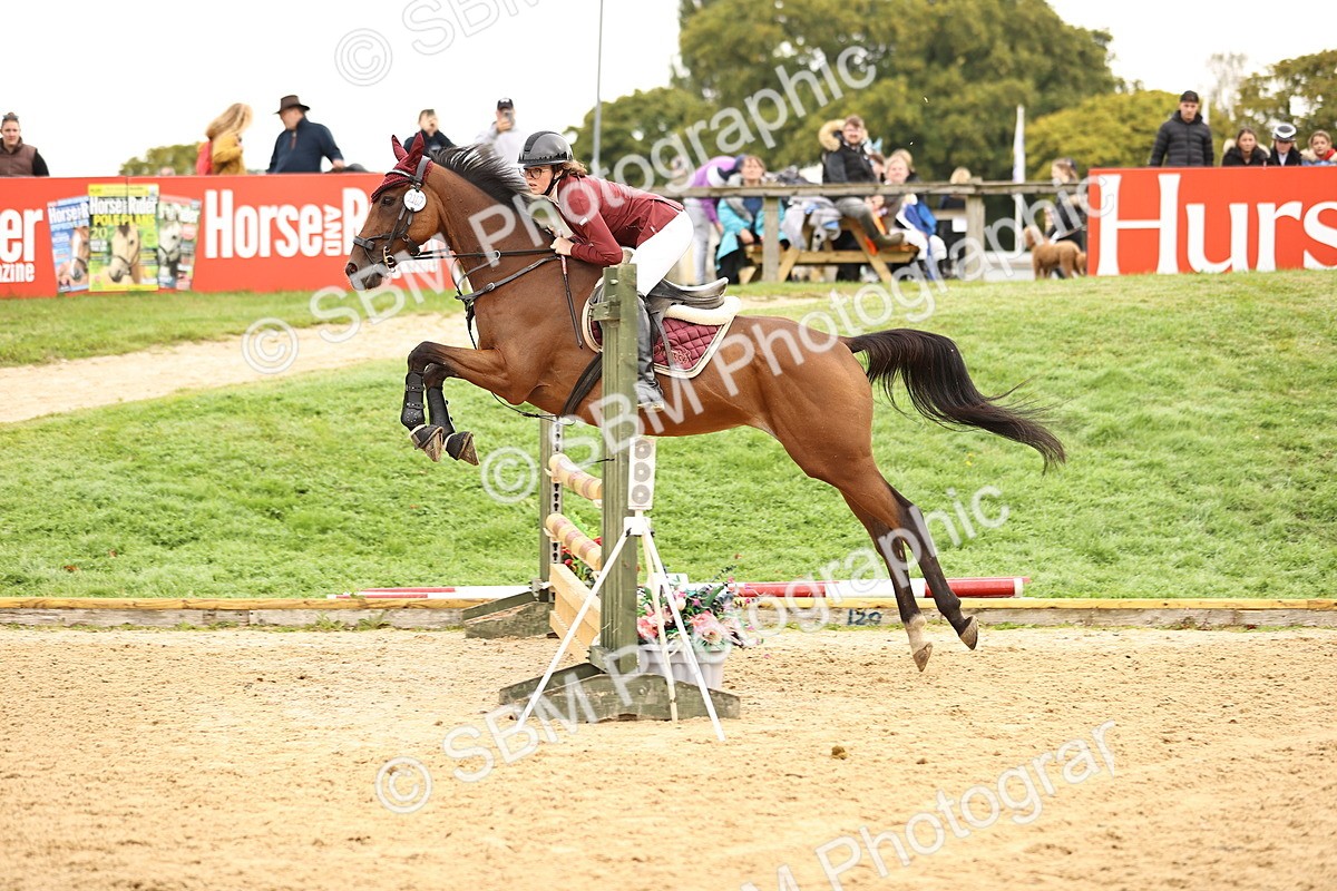 SBM_58341 - J41 - Grand Tour Horse & Pony 95cm