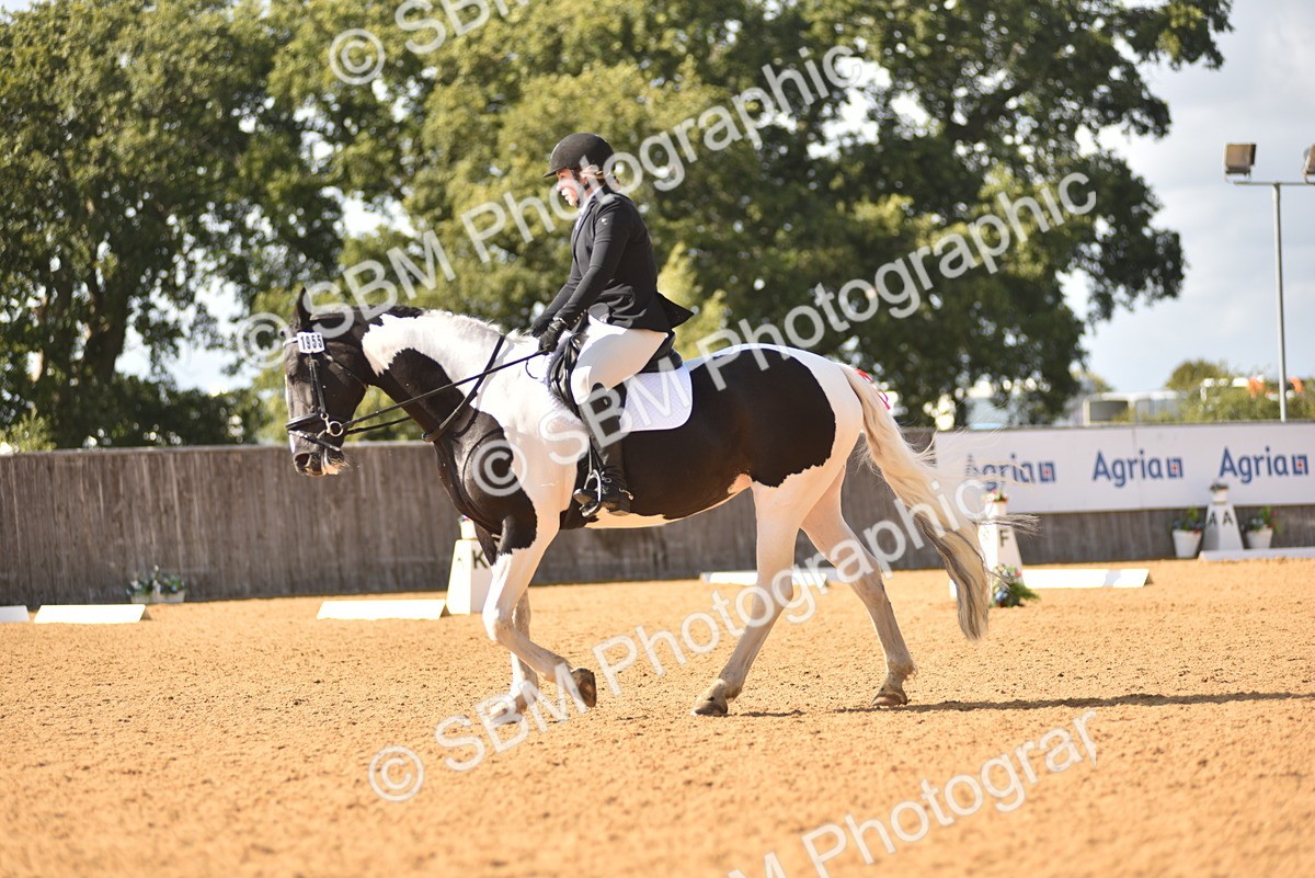 SBM_24313 - D4 - Small Tour Championship Intro 4