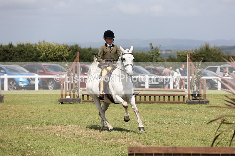 JPP_2096 - Class 19: Working Hunter 60cm