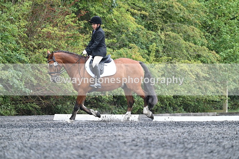 WJ7_6132 - Time 11:38 to 12:03