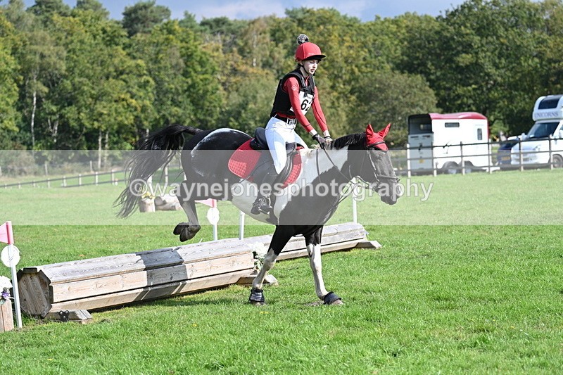 WJ7_4880 - 60cm Time 11:11 to 11:19