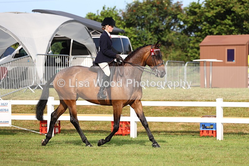 3E7A8150 - Class 2: Rising Star Large Hack/Riding Horse