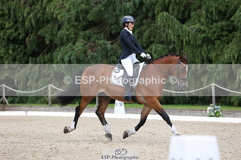 230812-150857-05060 - Cls 5 Novice Bronze 15.00 to End