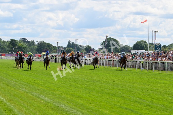140625-Race 2-My Dream World-2283 - Race 2 2.25pm Queen Mother's Cup Handicap