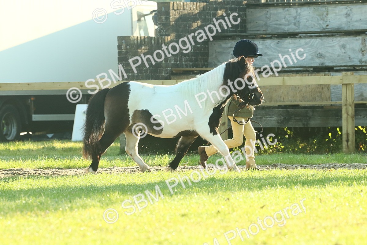 SBM_57338 - S37 - Starters In Hand Showing