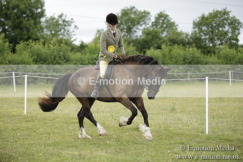 BVR160717-1353 - Ring 1 BVRC Show 16/07/17