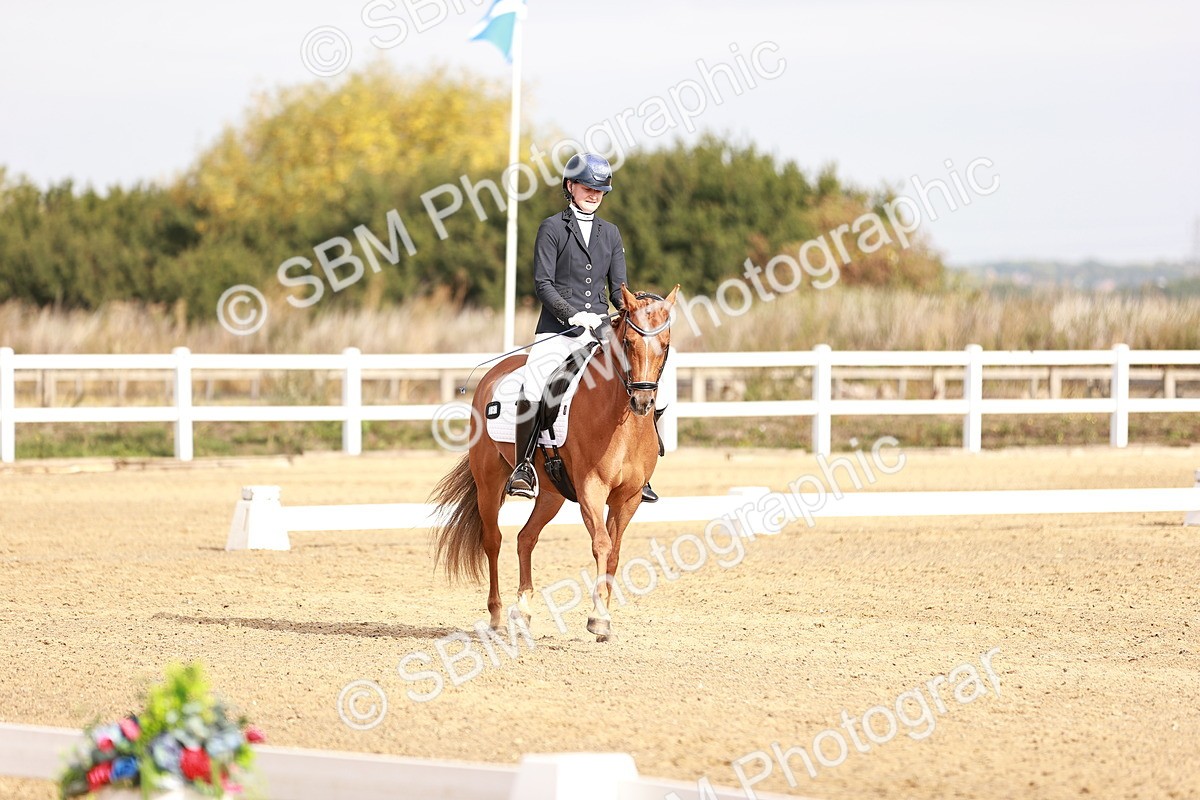 SBM_016902 - Class 10 - Medium 6