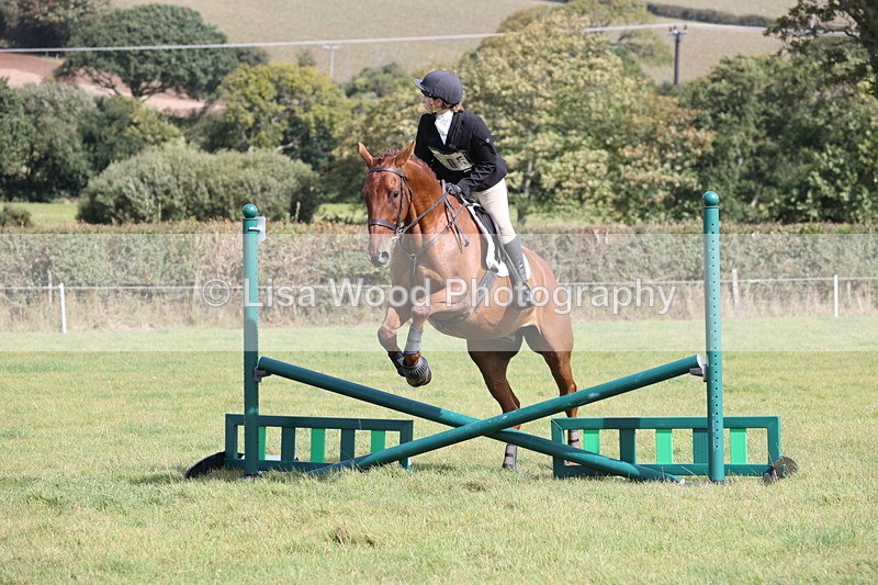 JPP_8650 - Class 2: Trekenning: 80cm Showjumping