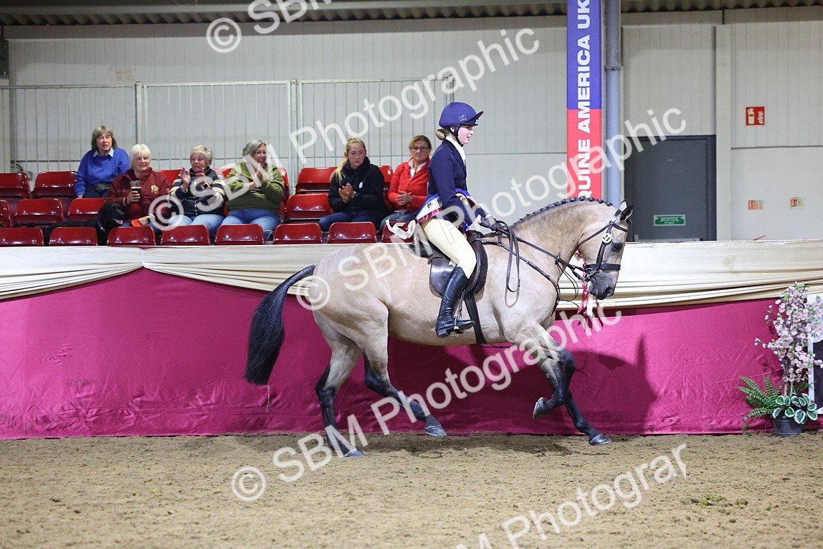 0B8A4614 - Class Q Style & Performance Champ