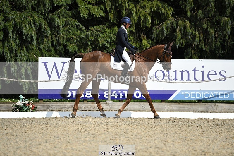 230525-153925-03282 - 328-GREENLOUGH_CROSS-Kelly_Mccarthy-maine-WEDTrotUp+DR