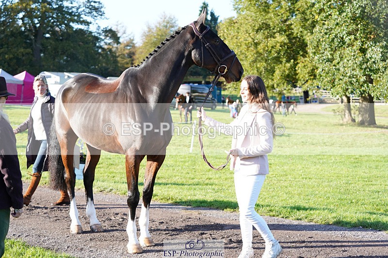 241026-101100-11672 - 016-Liberty.Smith-MODEL.T