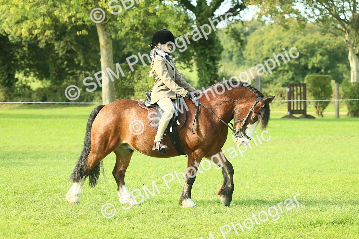 SBM_59323 - S38 - Starters Ridden Showing