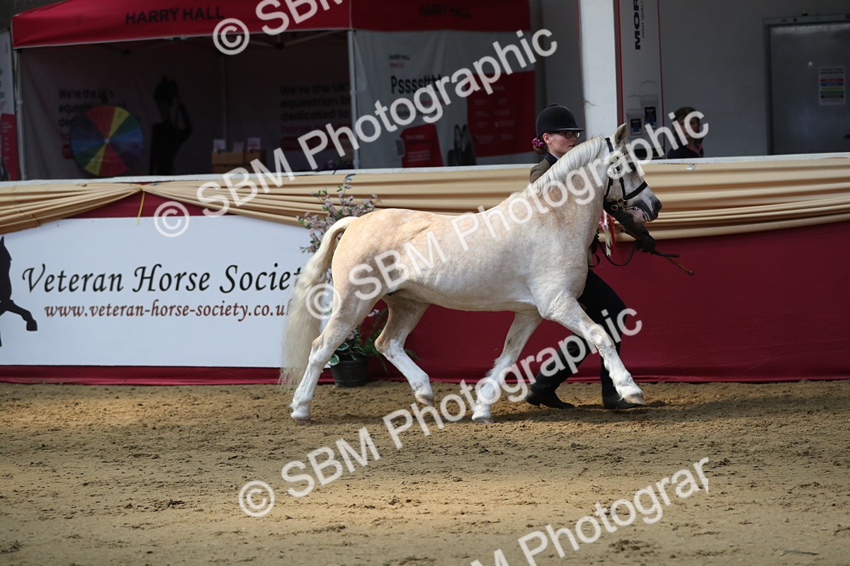 SBM_04498 - Class 7R Regional - IH Diamond