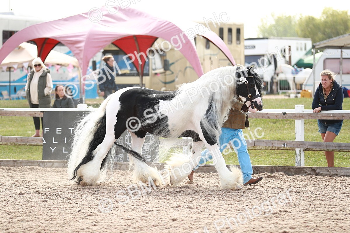 SBM_13882 - Class 209 IH Veteran Pony