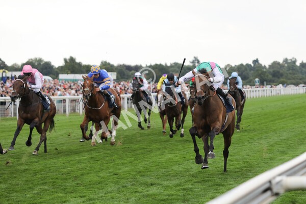 yr18082022r5-18 - Race 5 4.10pm British EBF & Sir Henry Cecil Galtres Stakes