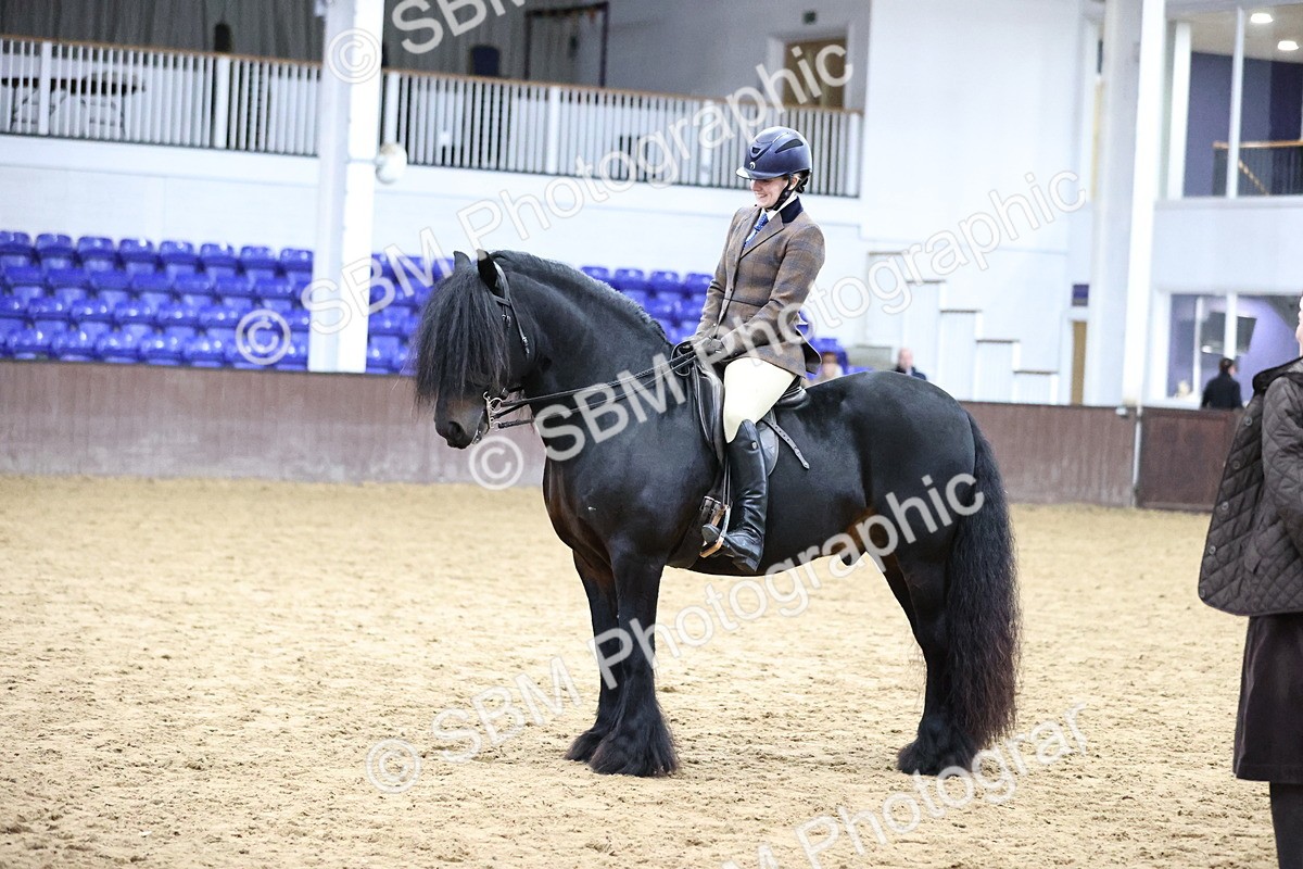SBM_6544 - Class 43 - Ridden Native Breeds