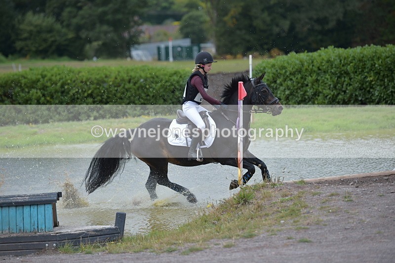 NGP_1996 - XC Time 11:20 to 11:36