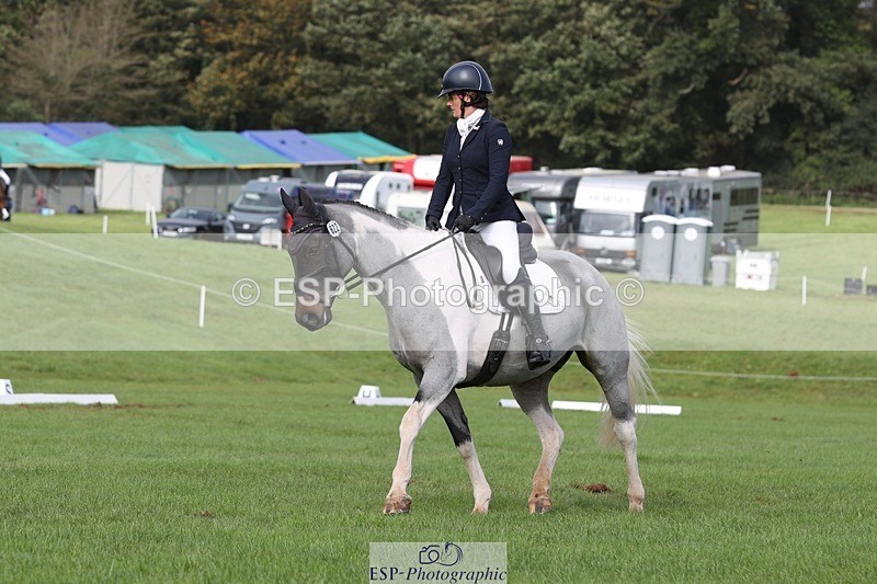 231019-134837-03782 - 622-CRAFTY.WIZARD-Heather.Urquhart-DR