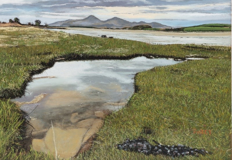 Rockpool, Lecale Way, Dundrum Bay - Paintings