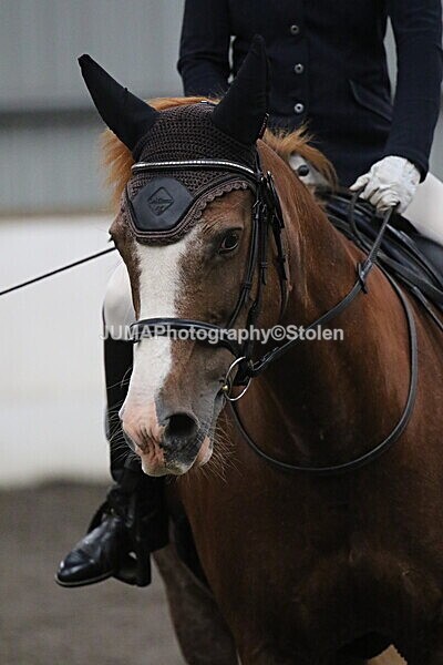 SIAL5633 - CAbin Dressage 5th july 2025