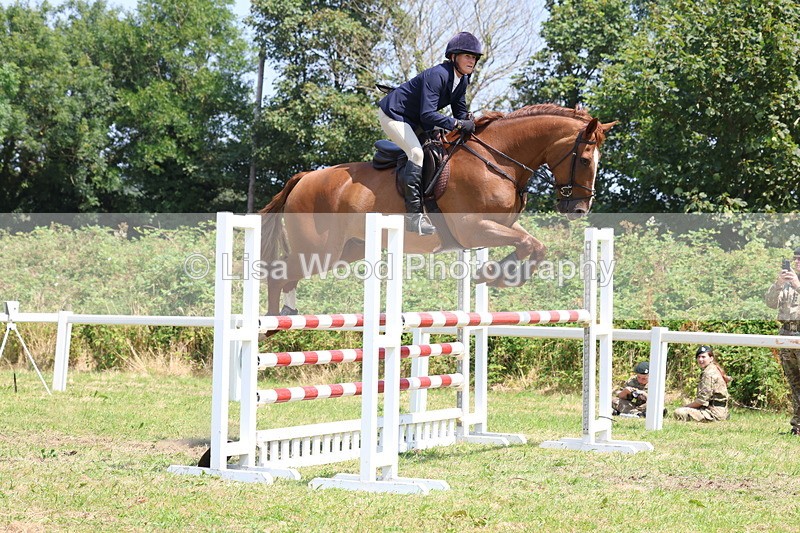 3E7A3347 - Class 10: Senior Foxhunter/1.20 open