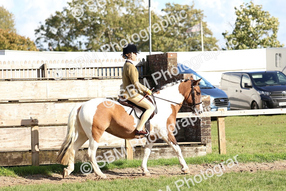SBM_52353 - S13 - Pony Club Pony