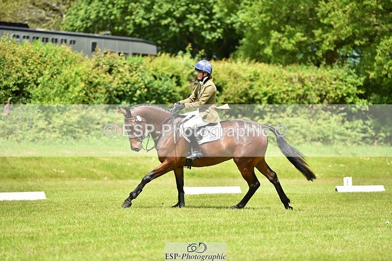 240523B-125248-02278 - 5 Year Old