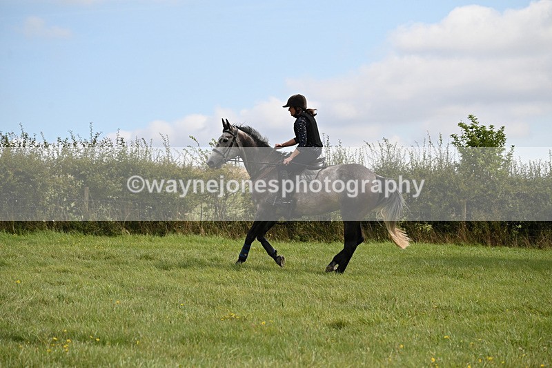 WJ6_7853 - Time 11:45 to 11:58