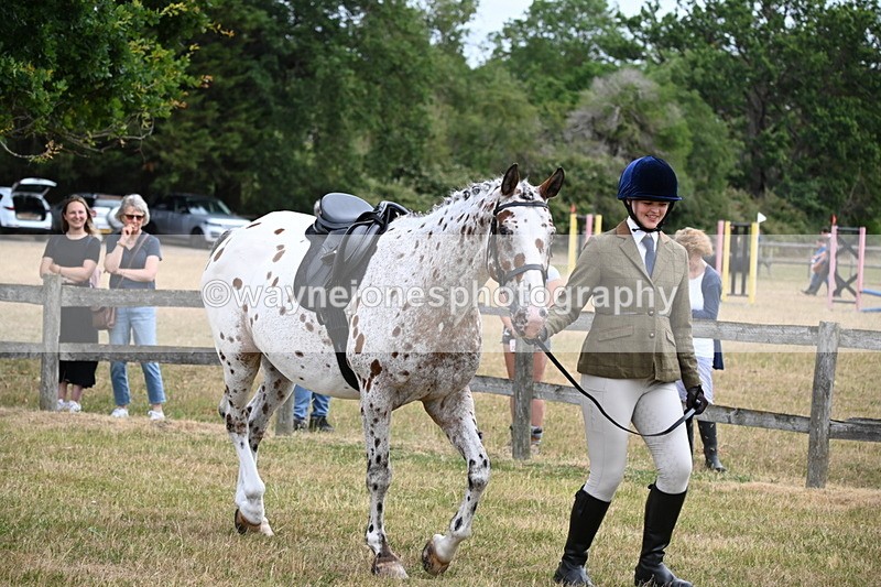 WJ6_3858 - Class 9 Tack & Turnout