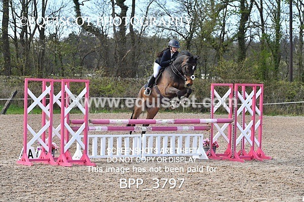 BPP_3797 - CLASS 3 FRI Senior British Novice/ 90cm Open