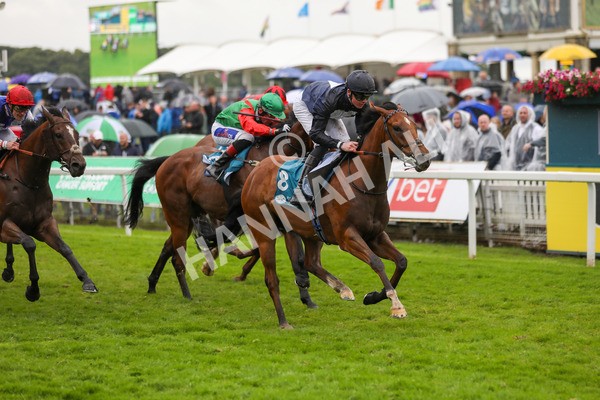 150624-Race 7-Holkham Bay-6267 - Race 7 5.25pm Fordy Marshall Land And Property Consultants Handicap