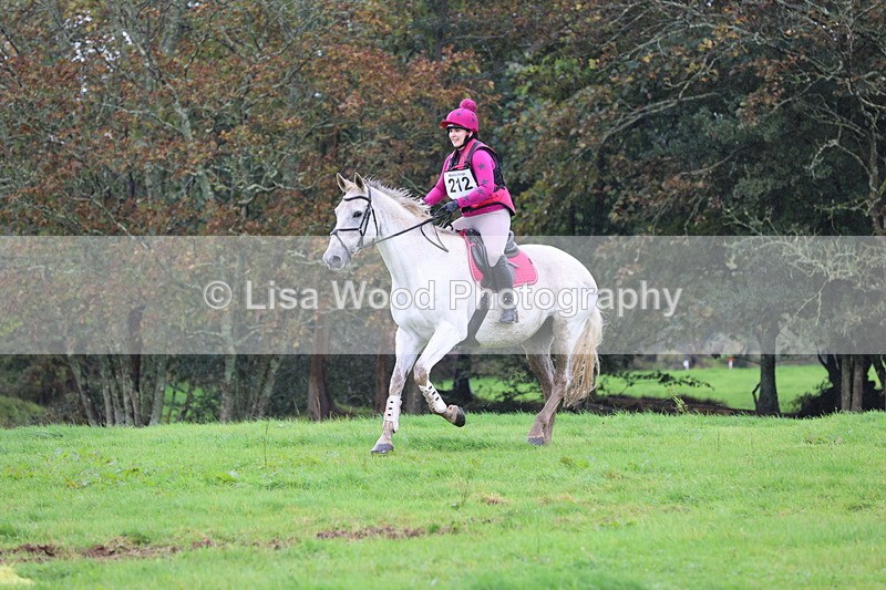 JPP_5199 - Class 2:  70cm: Zig Zag