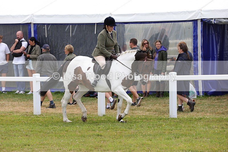 1X9A4500 - Class 34: Veteran Ridden