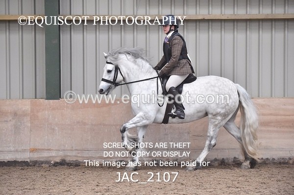 JAC_2107 - CLASS 1 Nursery Novice Working Hunter