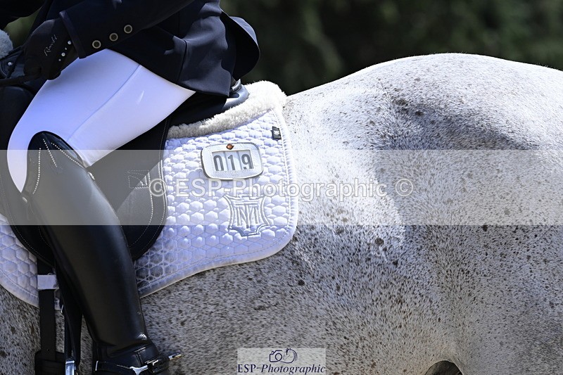 250810A-140048-06843 - 019-Jane.PhillipsFair.Duchess