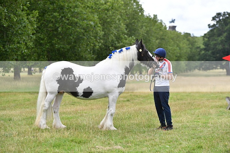 WJ5_9850 - Time at Jump 09:22 to 10:43