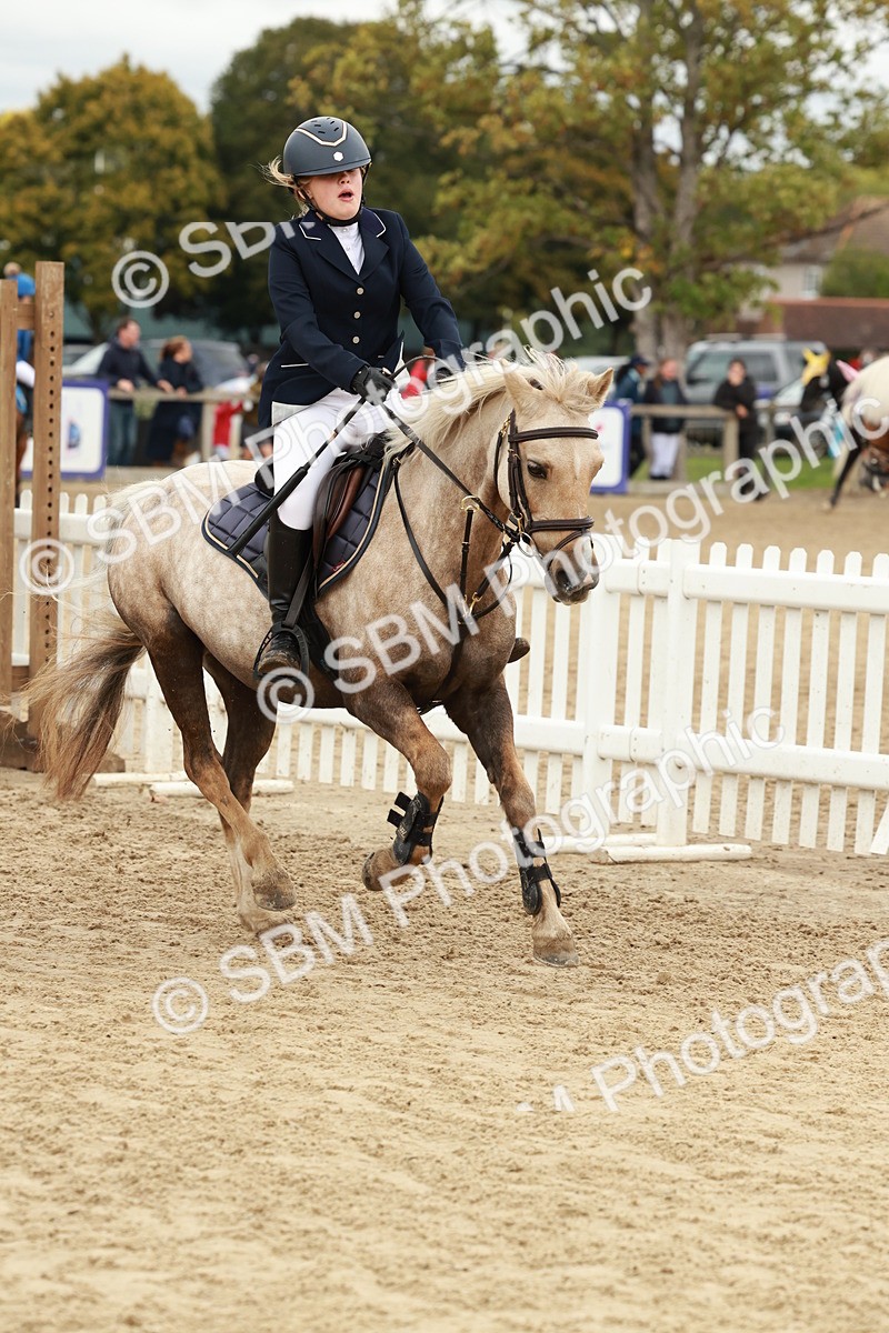 SBM_67078 - J13 - Junior Pony 60cm Championship