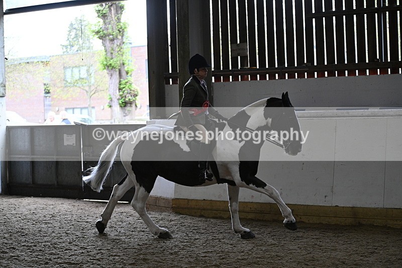 WJ7_4521 - Afternoon Champs