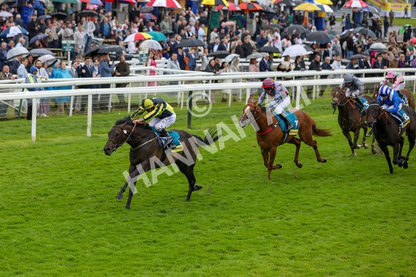 150624-Race 4-Jamess Delight-6150 - Race 4 3.35pm Churchill Tyres Supporting Macmillan Sprint Handicap